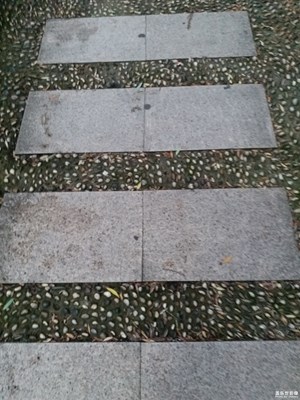 【中國最美瞬間】路