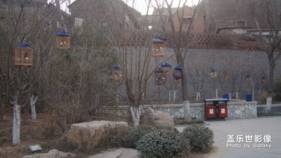 【中國(guó)最美瞬間】+天下第一村