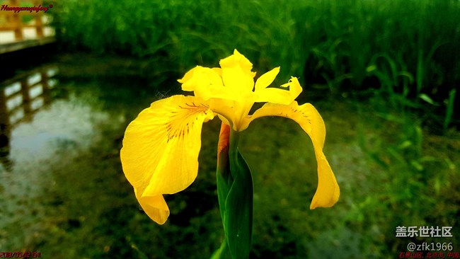 問問大家，最新版ROM，照片大小是幾兆？