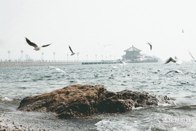 【中國(guó)最美瞬間】+青島