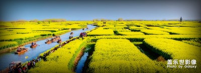 【中國(guó)最美瞬間】+千垛油菜花田二