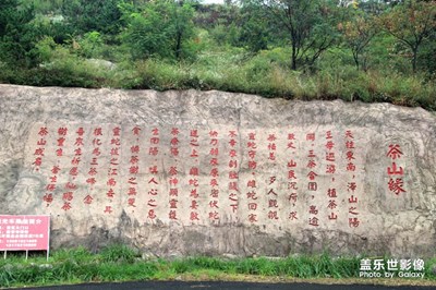 【中國最美瞬間】+茶山緣