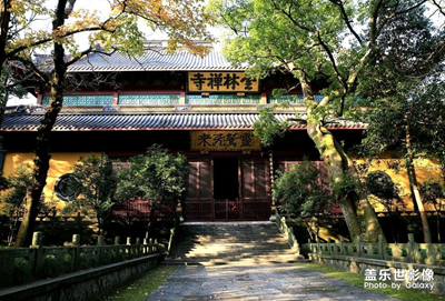 【中國(guó)最美瞬間】+綠