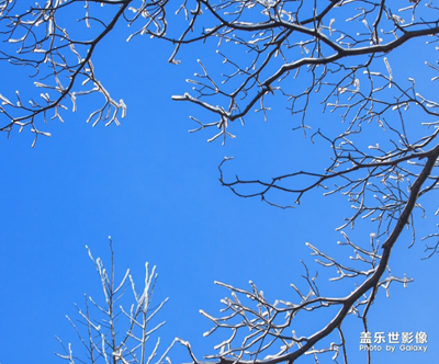 【中國(guó)最美瞬間】+黃山冬雪