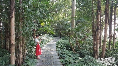 中國最美瞬間＋等
