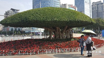 中國(guó)最美瞬間＋傘中情