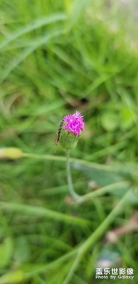 【中國(guó)最美瞬間】+生命韻動(dòng)