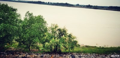 大地動(dòng)脈之母親河