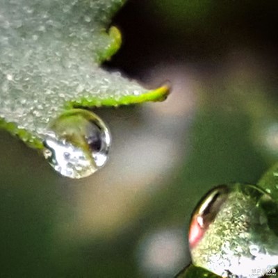 【葉子的故事】+眨動(dòng)與訴說(shuō)