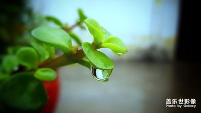 【中國(guó)最美瞬間】+清新雨露