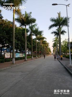 構(gòu)圖偏了一點