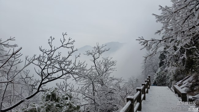 【第98期：三星Galaxy S9 | S9+勃艮第紅首銷熱賣中】