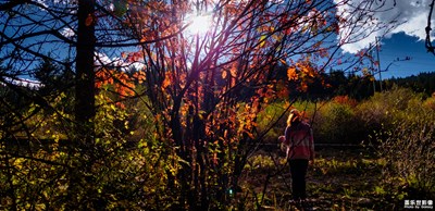 【中國(guó)最美瞬間】+道孚紅葉