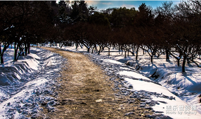 【中國最美瞬間】+雪路