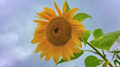 手機(jī)里的那些照片