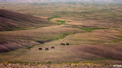 【中國最美瞬間】+發(fā)現(xiàn)遼闊美