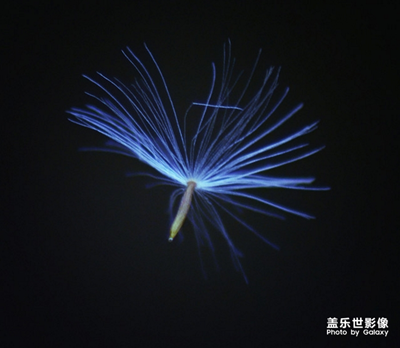【中國最美瞬間】+隨風(fēng)舞蹈