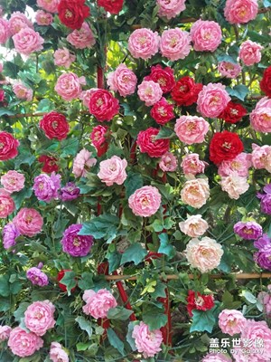 那些年在錦繡中華的N3