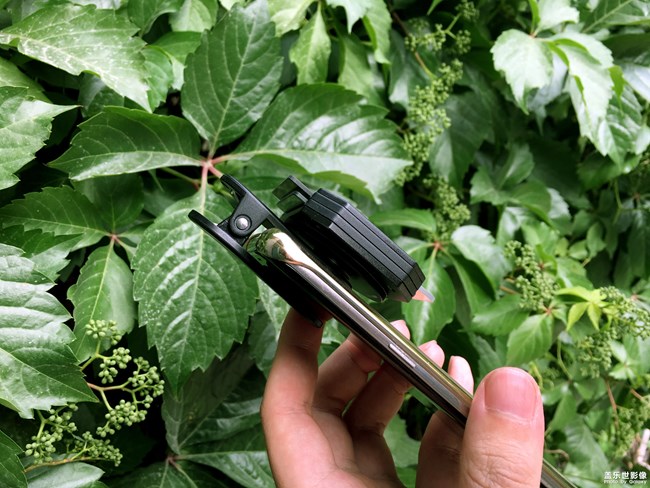 【第100期：各位寶寶們兒童節(jié)快樂(lè)呀 A系列新品即將來(lái)襲】