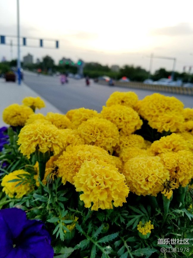 note8拍我的美麗家鄉(xiāng)