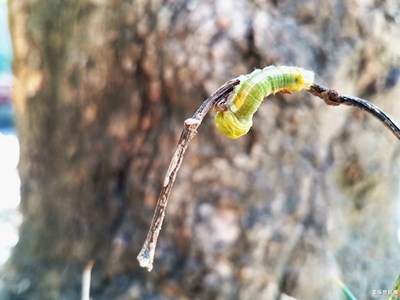 我也不知道起什么名