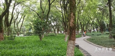 每次買了新三星手機(jī)就去拍照，從note3拍到note8了同一個(gè)公園