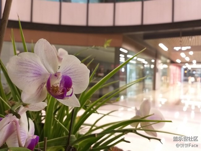 全宇宙首發(fā)！三星Galaxy A9 Star | A9 Star Lite新品評(píng)測(cè)