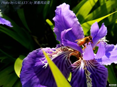 尋找鏡頭下的光影