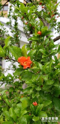 我是攝影小白求指教