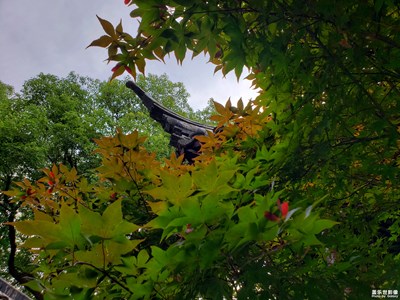 【中國最美瞬間】+窺視的美麗