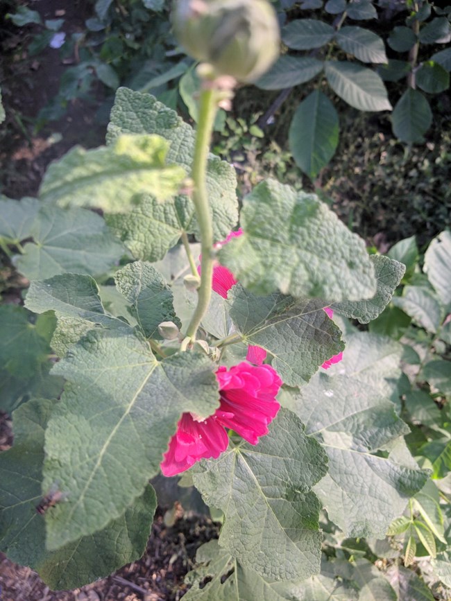 Note 8 拍照  字?jǐn)?shù)補(bǔ)丁