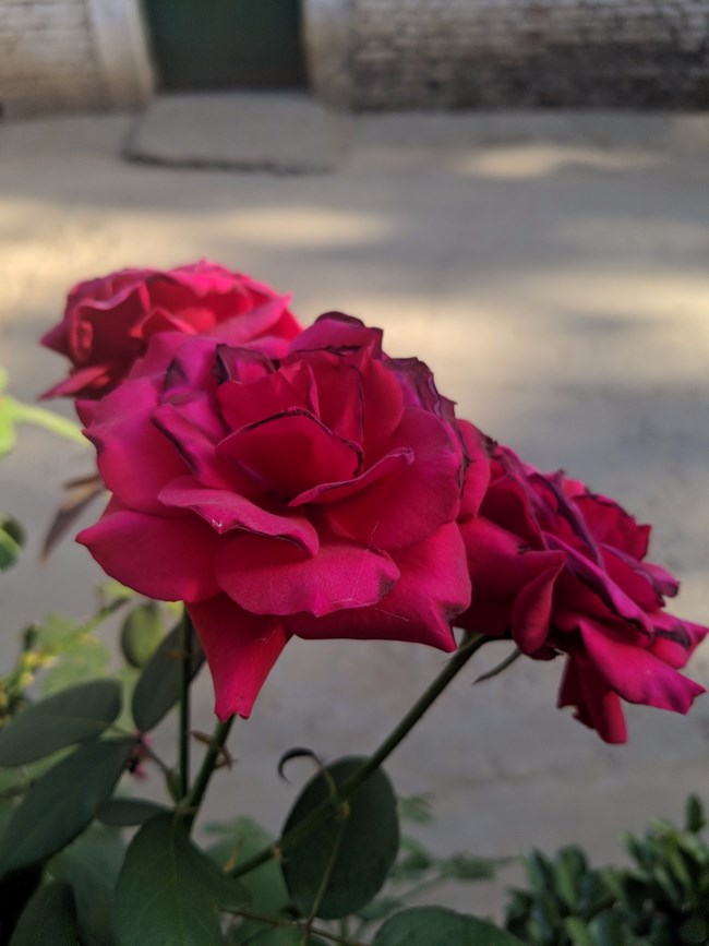 Note 8 拍照  字?jǐn)?shù)補(bǔ)丁