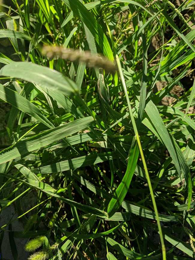 Note 8 拍照  字?jǐn)?shù)補(bǔ)丁