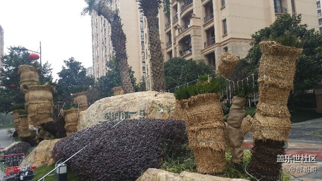 相機還是不錯的