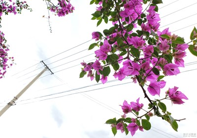 中國(guó)最美瞬間+大理印象之廣袤華夏