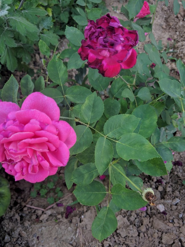 Note 8 拍照  字?jǐn)?shù)補(bǔ)丁