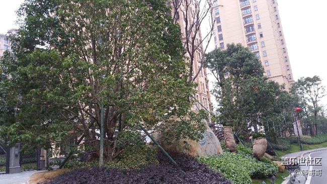 相機還是不錯的