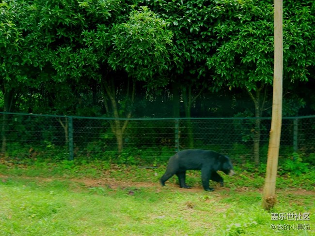 6.10長沙星部落 動物園一日游