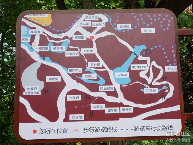 6.10長沙星部落 動物園一日游