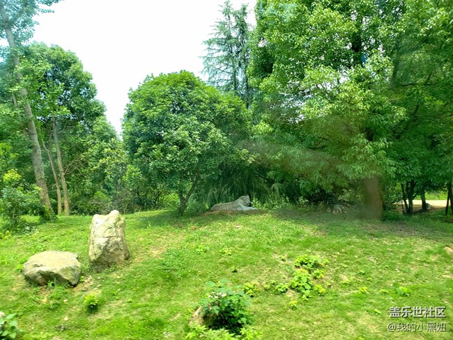 6.10長沙星部落 動物園一日游