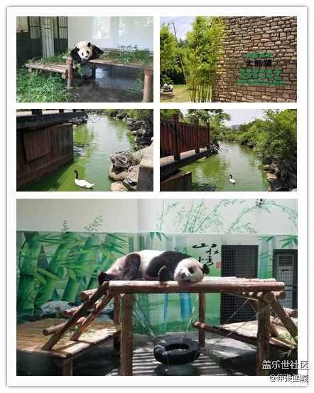 【回顧】長(zhǎng)沙星部落游玩活動(dòng)—《長(zhǎng)沙生態(tài)動(dòng)物園》