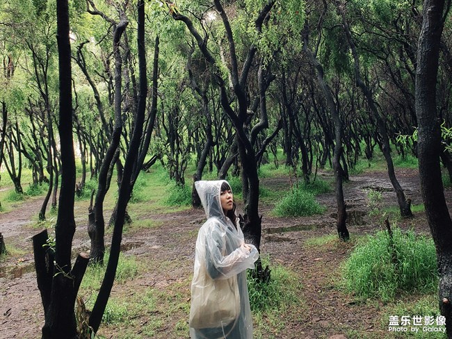 你的城 今日是雨是晴