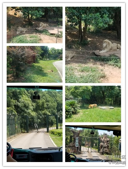 【回顧】長(zhǎng)沙星部落游玩活動(dòng)—《長(zhǎng)沙生態(tài)動(dòng)物園》