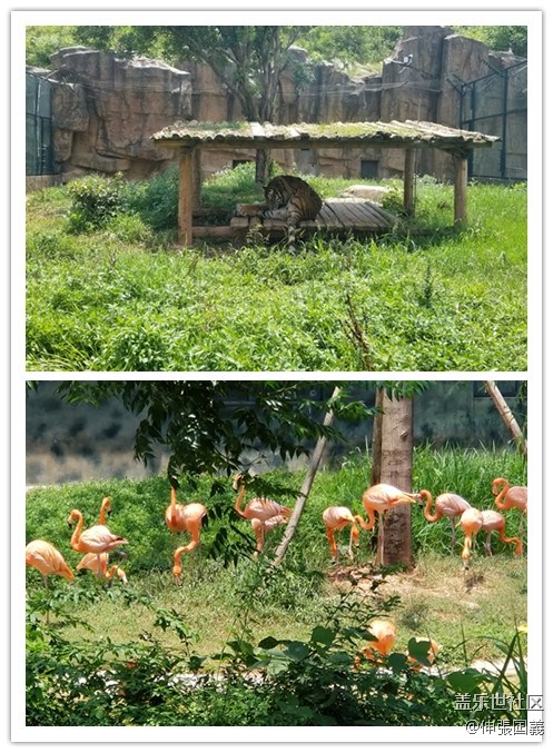 【回顧】長(zhǎng)沙星部落游玩活動(dòng)—《長(zhǎng)沙生態(tài)動(dòng)物園》