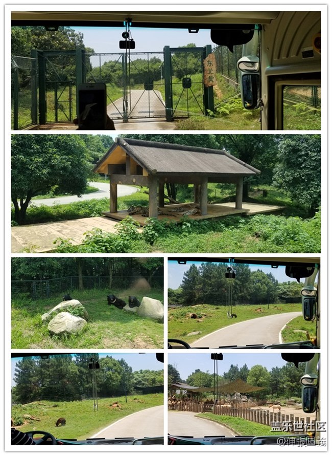 【回顧】長(zhǎng)沙星部落游玩活動(dòng)—《長(zhǎng)沙生態(tài)動(dòng)物園》