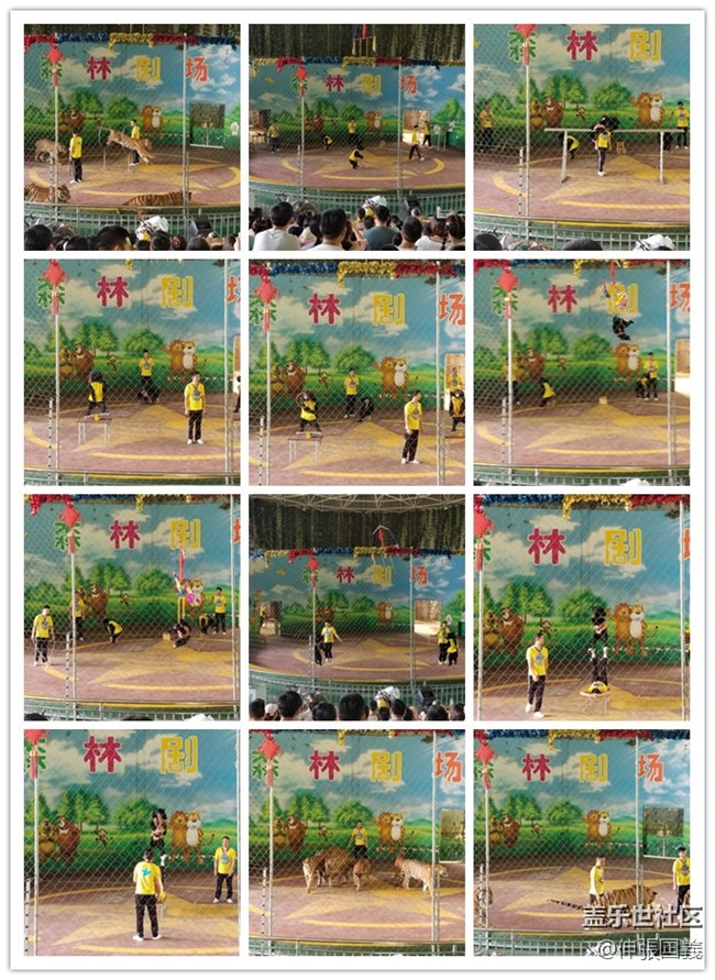 【回顧】長(zhǎng)沙星部落游玩活動(dòng)—《長(zhǎng)沙生態(tài)動(dòng)物園》