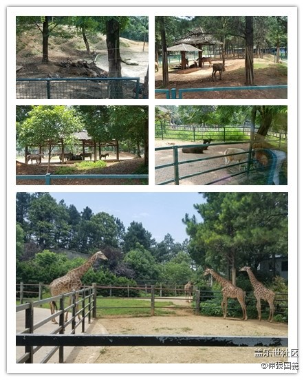 【回顧】長(zhǎng)沙星部落游玩活動(dòng)—《長(zhǎng)沙生態(tài)動(dòng)物園》