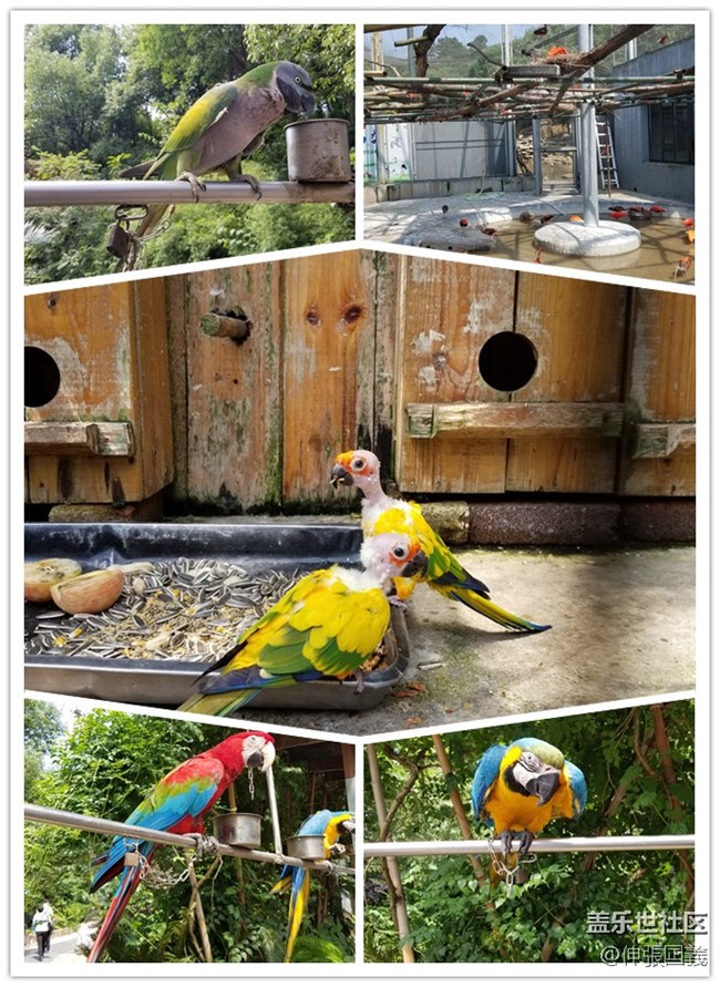 【回顧】長(zhǎng)沙星部落游玩活動(dòng)—《長(zhǎng)沙生態(tài)動(dòng)物園》