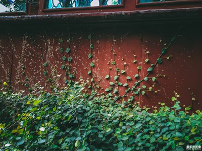 【后續(xù)】最美中國(guó)小景致