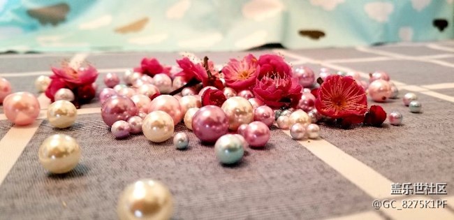 大愛三星的相機(jī)